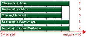 Caracteristici agronomice Porumb SMEDEREVO