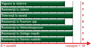 Caracteristici agronomice Porumb TOPOLA ZP 555