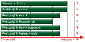 Caracteristici agronomice Porumb ZP 341