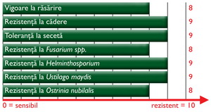 Caracteristici agronomice Porumb ZP 488 ZP 366
