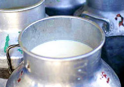 Agrostar trage un semnal de alarma cu privire la situatia micilor producatori de lapte, dupa eliminarea cotei