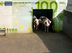 Adeverinte pentru beneficiarii platilor de bunastare a porcinelor, care intentioneaza sa acceseze credite