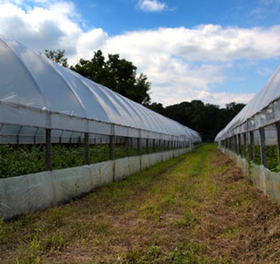 FOLIE SOLAR PREMIUM UV 3 ANI