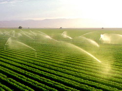 Sedinta de lucru pe tema modernizarii si reabilitarii sistemelor de irigatii romanesti