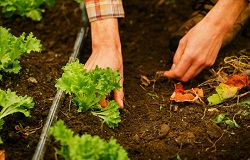 Nathan-Klassen-Fullres-004