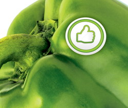 Daciana Sarbu: Noile reguli europene privind agricultura bio permit certificarea de grup pentru micii fermieri