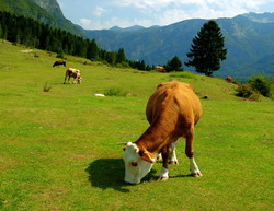 Pajisti si zona montana