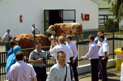 Semtest BVN export MSC China