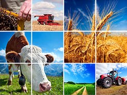 Simplificarea accesarii si derularii Programului National de Dezvoltare Rurala PNDR 2014 – 2020