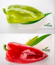 Soiul hibrid de Ardei kapia Ariadni F1