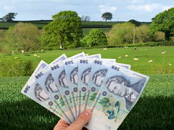 Culturile si speciile de animale pentru care fermierii vor primi sprijin suplimentar