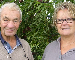 agro selection fruits la clau