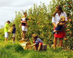 In Alba se vor infiinta noi clase speciale de lucrator in agroturism, adaptate cerintelor actuale