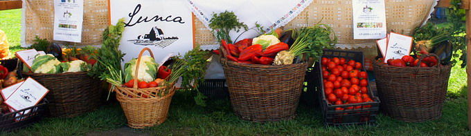 cooperativa agricola Lunca Somesului Mic produse