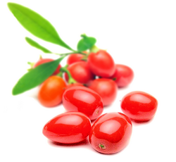 Fructul BIO de Goji – aliatul pentru o viata lunga si sanatoasa