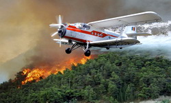 Masuri de prevenire a incendiilor la fondul forestier