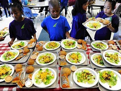 vegetarian-lunch-d0e90bb20556fef939dd046366eba1a3f08be439-s800-c15