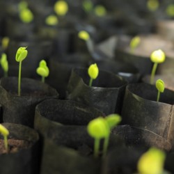 Concursul soils4life Soluri pentru viata