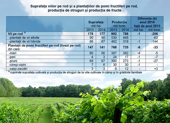 Culturi Productie 2014 2