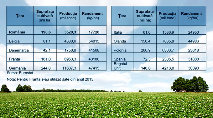 Culturi Productie 2014 cartofi