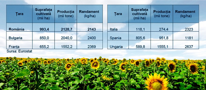 Culturi Productie 2014 floarea-soarelui