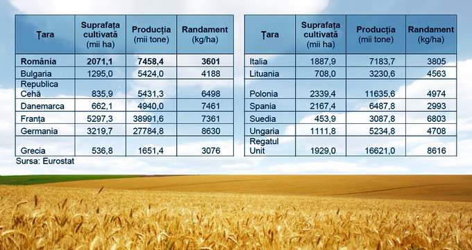 Culturi Productie 2014 grau