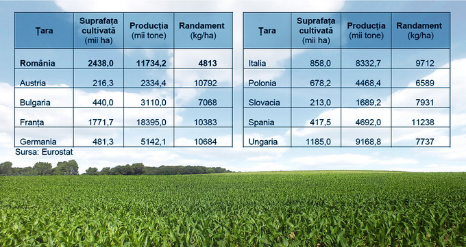 Culturi Productie 2014 porumb
