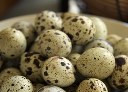 Despre avantajele consumului de oua de prepelita