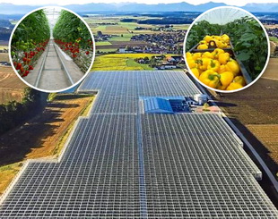 Energie Geotermala Agricultura 2