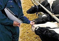 Inspectiile in exploatatiile cu animale pentru anul 2015