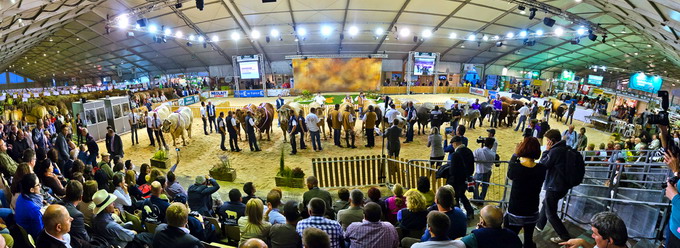 MADR salonul Sommet de l-Elevage zootehnie