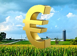 Birou de suport tehnic si consultanta dedicat fondurilor pentru agricultura si dezvoltare rurala la Neamt