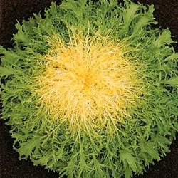 dyn010 original 280 280 pjpeg 2671435 bc3212801f71a7cc751dd88692d79bfb