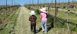 kids in vineyard resize