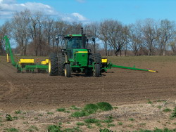 semanat-porumb resize