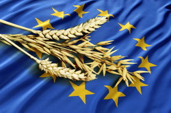 9,5 miliarde de euro pentru Romania rurala si stimularea sectorului agricol