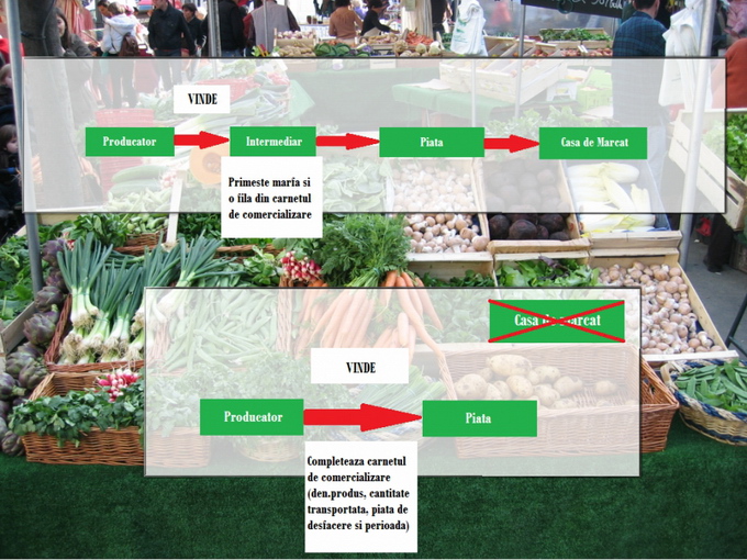 Clarificari MADR Legea pietelor
