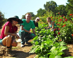 In ce conditii pot fi obtinute fonduri pentru instalarea tinerilor fermieri?