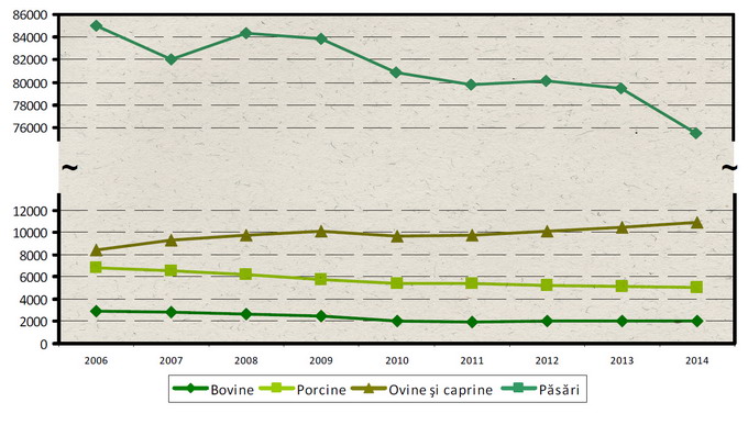 Efective animale evolutie 2006-2014