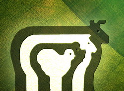 Cresc efectivele de bovine, ovine si caprine. Tot mai putini porci si pasari in Romania