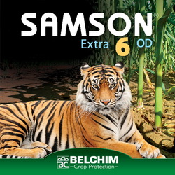 SAMSON EXTRA 6 OD – Formulare originala OD
