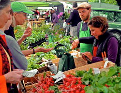 Cadru legislativ pentru imbunatatirea la nivel european a statutului de fermier in lantul alimentar