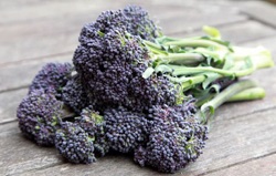 article-0-12337249000005DC-454 634x405