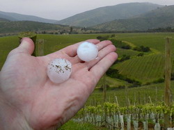 Tratamentele si masurile de combatere a pagubelor produse de grindina