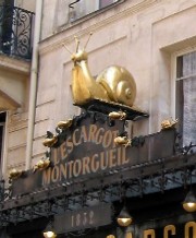 Rolul si locul melcilor in alimentatie si medicina