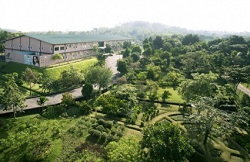 Produsele cosmetice naturale Nature’s Secrets