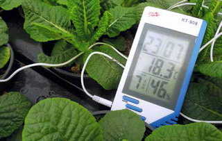 Centru de produs rasaduri - Control temperatura