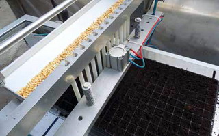 Centru de produs rasaduri - Masina de semanat