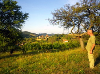 Conservare livezi si soiuri locale 3