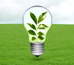 O noua lege pentru biomasa si biogaz inseamna: Energie termica cu 20 – 30% mai ieftina pentru cetateni si companii